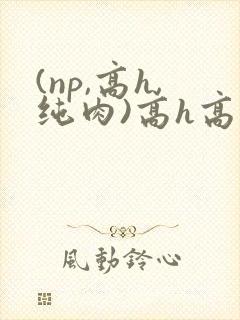 (np,高h,纯肉)高h高辣文
