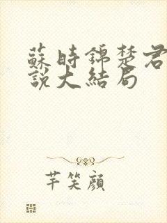 苏时锦楚君彻小说大结局