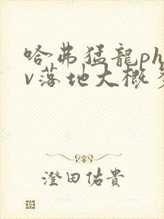 哈弗猛龙phev落地大概多少钱