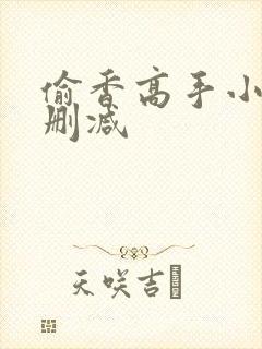 偷香高手小说无删减