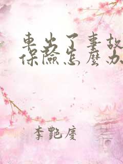 车出了事故没有保险怎么办