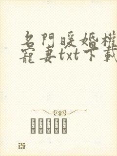 名门暖婚权爷盛宠妻txt下载
