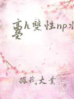 高h双性np壮受