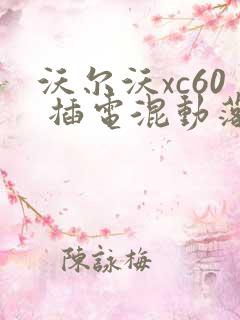 沃尔沃xc60 插电混动落地多少钱一辆