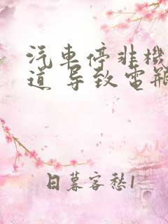 汽车停非机动车道 导致电瓶车撞上