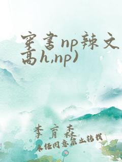 穿书np辣文(高h,np)