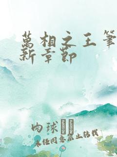 万相之王笔趣最新章节
