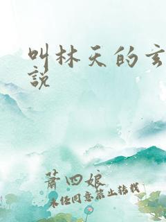 叫林天的玄幻小说 叫林天的玄幻小说