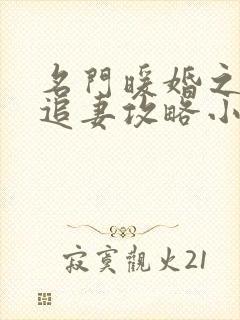 名门暖婚之权爷追妻攻略小说最新