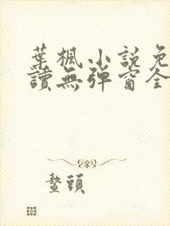 叶枫小说免费阅读无弹窗全文