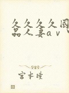 久久久久国产精品人妻aⅴ中出