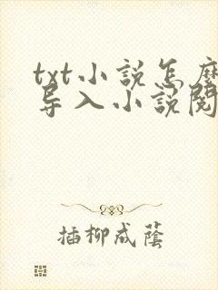 txt小说怎么导入小说阅读器