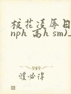 校花凌辱日记(nph 高h sm)_