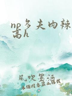 np多夫肉辣文高h np多夫肉辣文高h