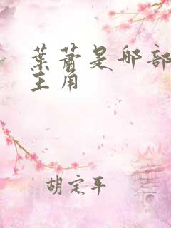 叶萧是哪部小说主角