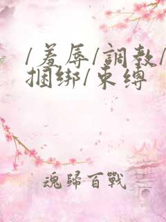 /羞辱/调教/捆绑/束缚 /羞辱/调教/捆绑/束缚