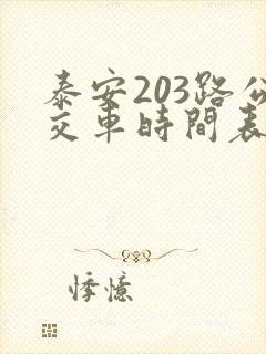 泰安203路公交车时间表 泰安203路公交车时间表