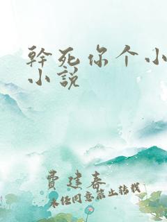 干死你个小骚货小说