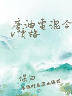 唐油电混合suv价格 唐油电混合suv价格
