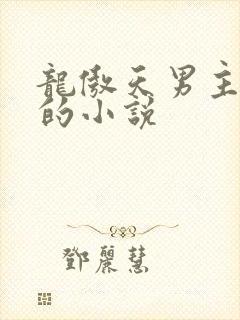 龙傲天男主是受的小说