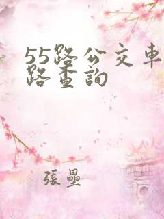 55路公交车线路查询 55路公交车线路查询