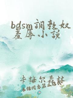 bdsm调教奴羞辱小说