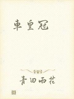 车皇冠