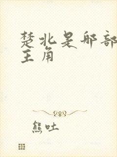 楚北是哪部小说主角