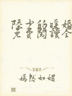 陆少的暖婚新妻免费阅读全文