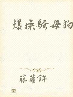 爆操骚母狗h