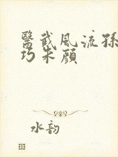 医武风流孙哲叶巧朱颜 医武风流孙哲叶巧朱颜