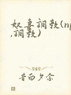 奴妻调教(np,调教)