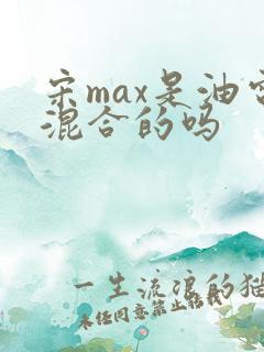 宋max是油电混合的吗