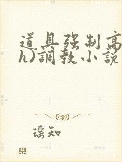 道具强制高潮(h)调教小说