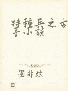 特种兵之古武高手小说