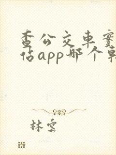 查公交车实时到站app哪个软件好