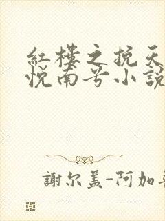 红楼之挽天倾林悦南兮小说