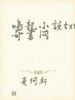 鸣龙小说txt奇书网