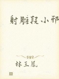 射雕段小邪传