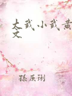 大武小武黄蓉原文