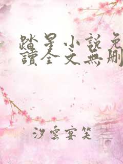 踏星小说免费阅读全文无删减
