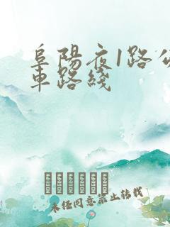 阜阳夜1路公交车路线 阜阳夜1路公交车路线