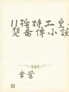 11号特工皇妃楚乔传小说