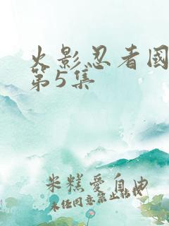 火影忍者国语版第5集