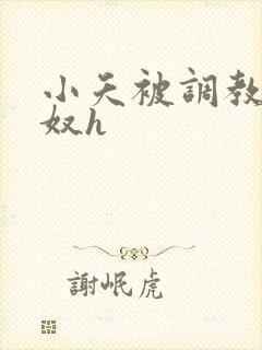 小夭被调教成肉奴h