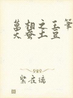 万相之王笔趣阁天蚕土豆