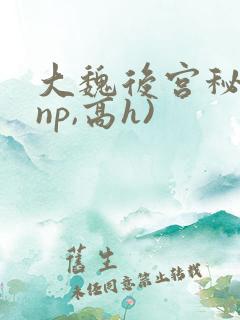 大魏后宫秘史(np,高h)