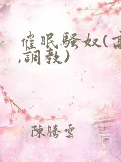 催眠骚奴(高h,调教)
