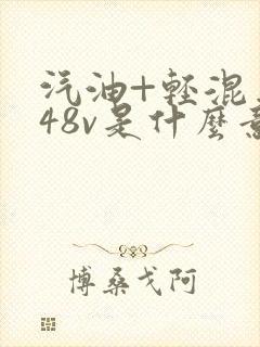 汽油+轻混车型48v是什么意思