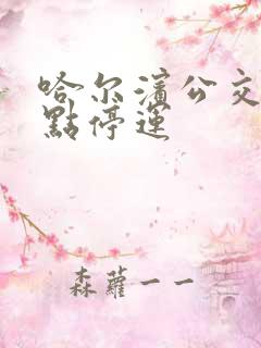 哈尔滨公交车几点停运 哈尔滨公交车几点停运